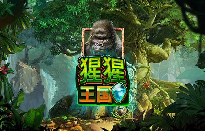 大红鹰dhy官方